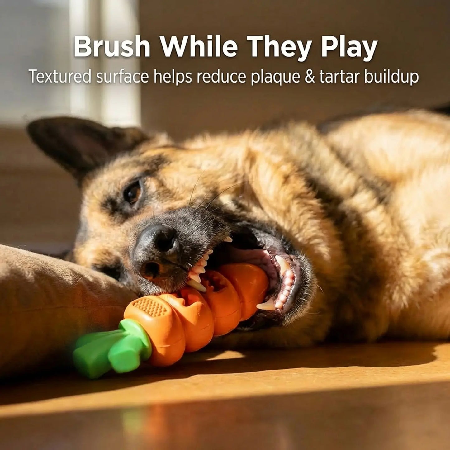 Apasiri Aggressive Chewer Dog Toys, Durable Carrot Leaf Design for Teeth Cleaning & Mental Stimulation Outdoorfun
