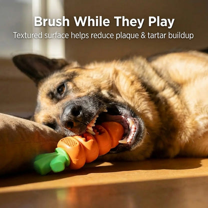 Apasiri Aggressive Chewer Dog Toys, Durable Carrot Leaf Design for Teeth Cleaning & Mental Stimulation Outdoorfun